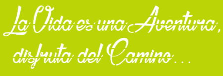 SW178 LA VIDA ES UNA AVENTURA 10 X 30