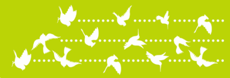 SW210 PAJARITOS 10 X 30