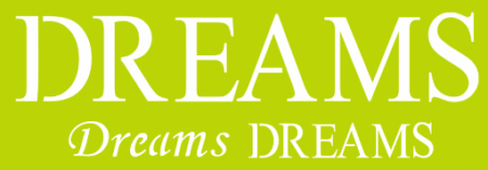 SW224 DREAMS 10 X 30