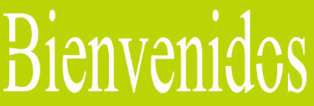 SW234 BIENVENIDOS 10 X 30