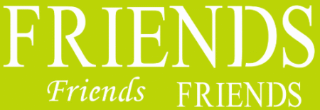 SW247 FRIENDS 10 X 30