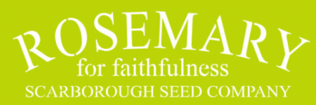 SW272 ROSE MARY 10 X 30