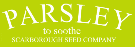 SW274 PARSLEY 10 X 30