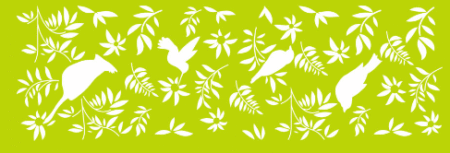 SW276 PAJARITOS 10 X 30