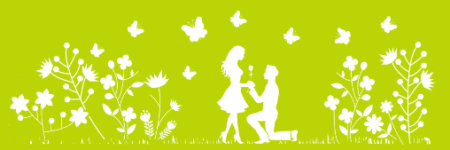 SW281 NOVIAS 10 X 30