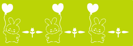 SW284 CONEJOS 10 X 30