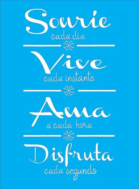 N0145 SONRIE CADA DIA 20 X 30
