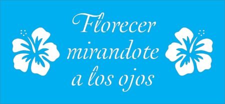 N0150 FLORECER MIRANDOTE A LOS OJOS 10 X 25