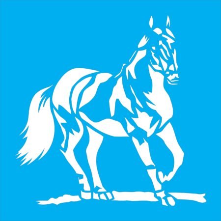 N0274 CABALLO 20 X 20