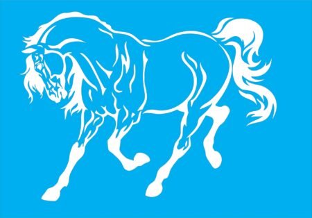 N0275 CABALLO 2 20 X 30