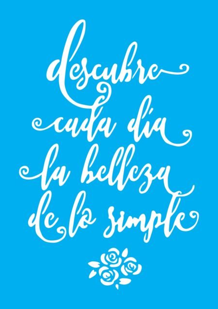 N0289 DESCUBRO CADA DIA 20 X 30