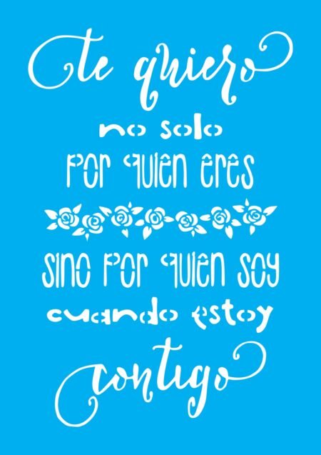 N0290 TE QUIERO NO SOLO POR QUIEN ERES 20 X 30