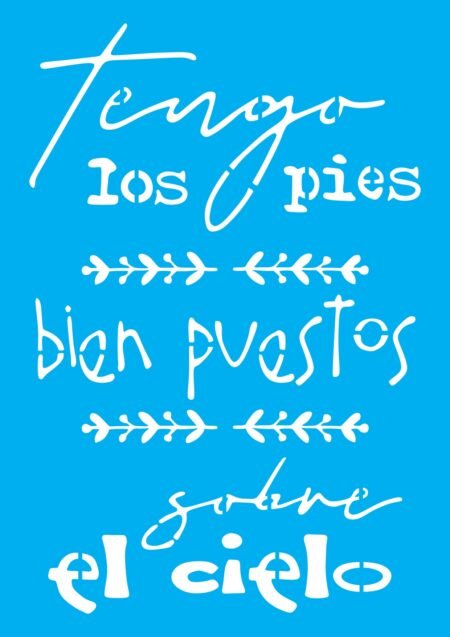 N0291 TENGO LOS PIES BIEN PUESTOS 20 X 30