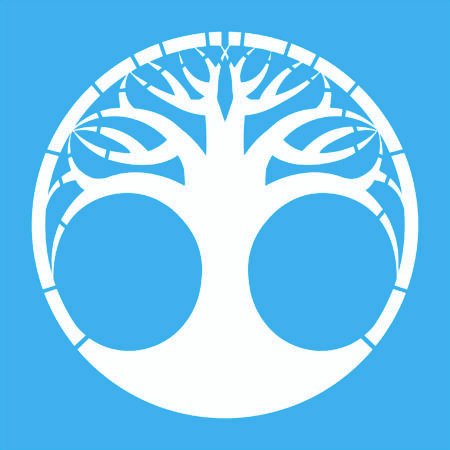 N0340 ARBOL CELTA 30 X 30