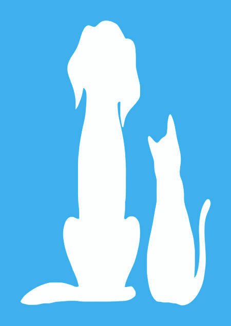 N0348 BRAHAMA 15 X 20