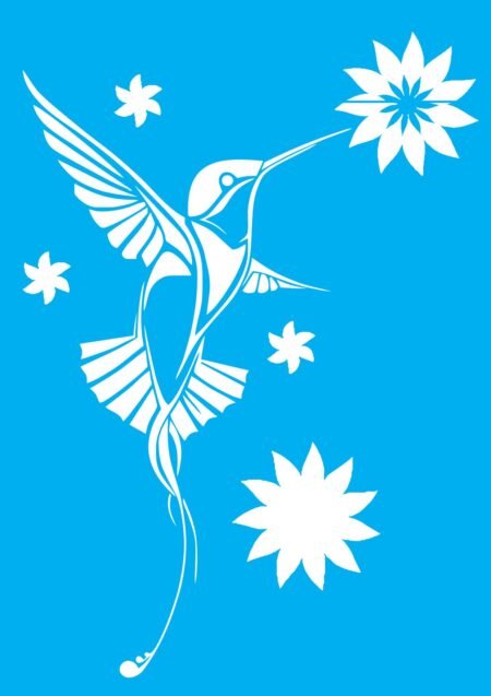 N0354 COLIBRI 20 X 30