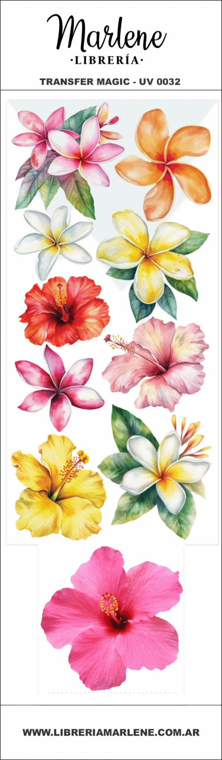 UV0032 - FLORES