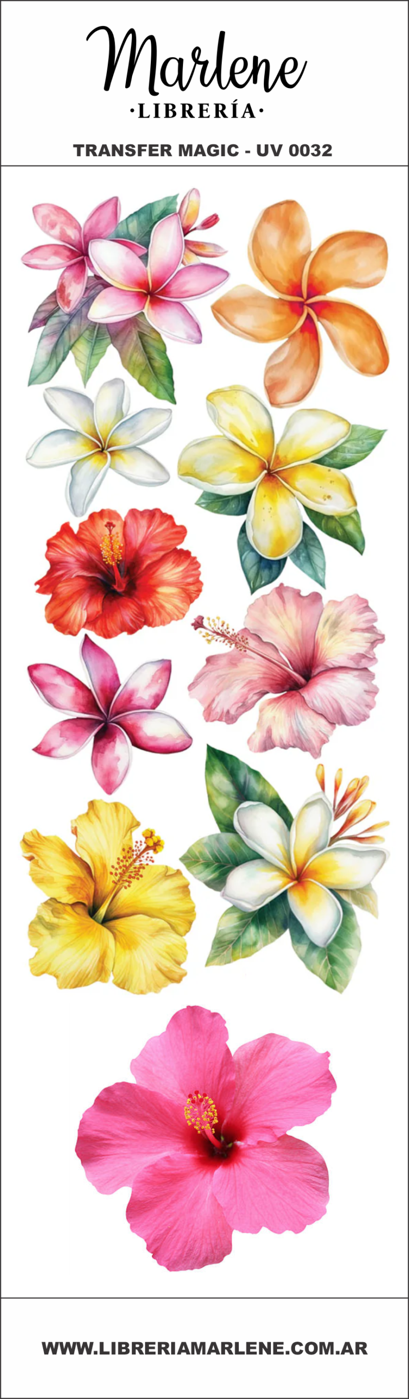 UV0032 - FLORES