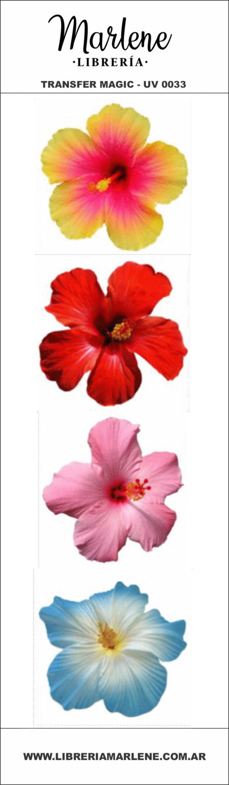UV0033 - FLORES