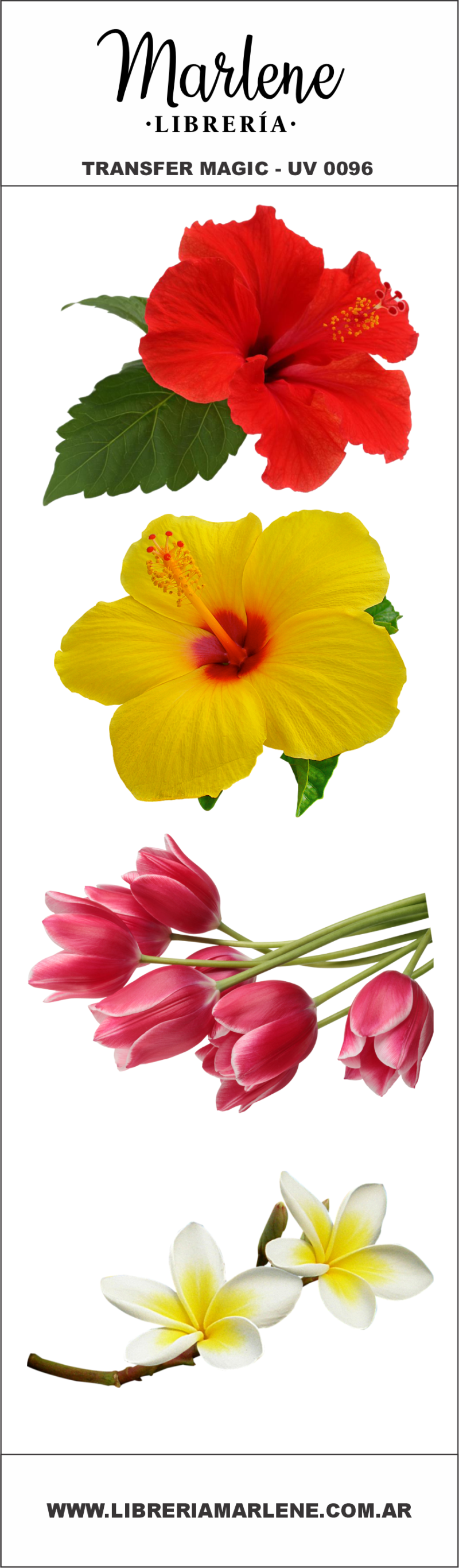 UV0096-FLORAL VARIADO