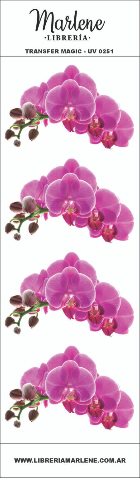 UV0251 - FLORAL 29